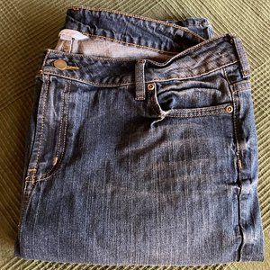 Garnet Hill Slim Stretch Mid Rise Jeans 16L (NWT)